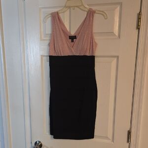 Enfocus Studio Pink V-Neck Sleeveless Sheath Dress
